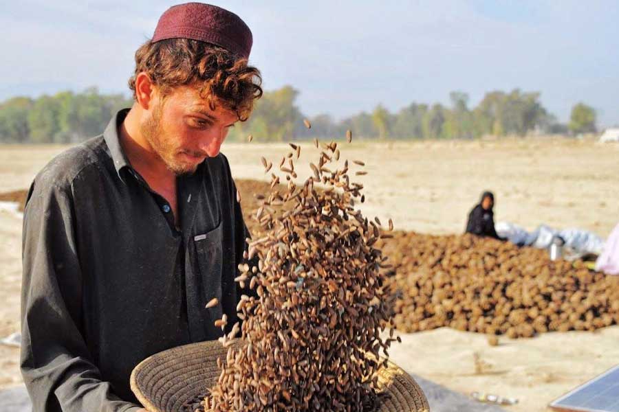 Afghanistan currency is more valuable than India