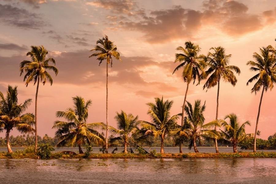 আবার কেরল বা খাঁটি মালয়ালম ভাষায় কেরলম-এর ‘কের’  মানে নারকেল। মালয়ালিতে নারকেলকে ‘কের’ বলে। এবং ‘আলয়ম’ শব্দের অর্থ দেশ। অর্থাৎ কেরলের আরেকটা নাম 'নারকেলের দেশ'ও। 