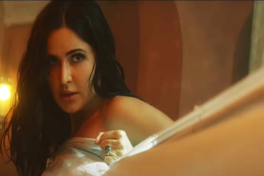 Hollywood actress seen fighting with Katrina Kaif in just a towel in Tiger 3, has starred in Marvel films