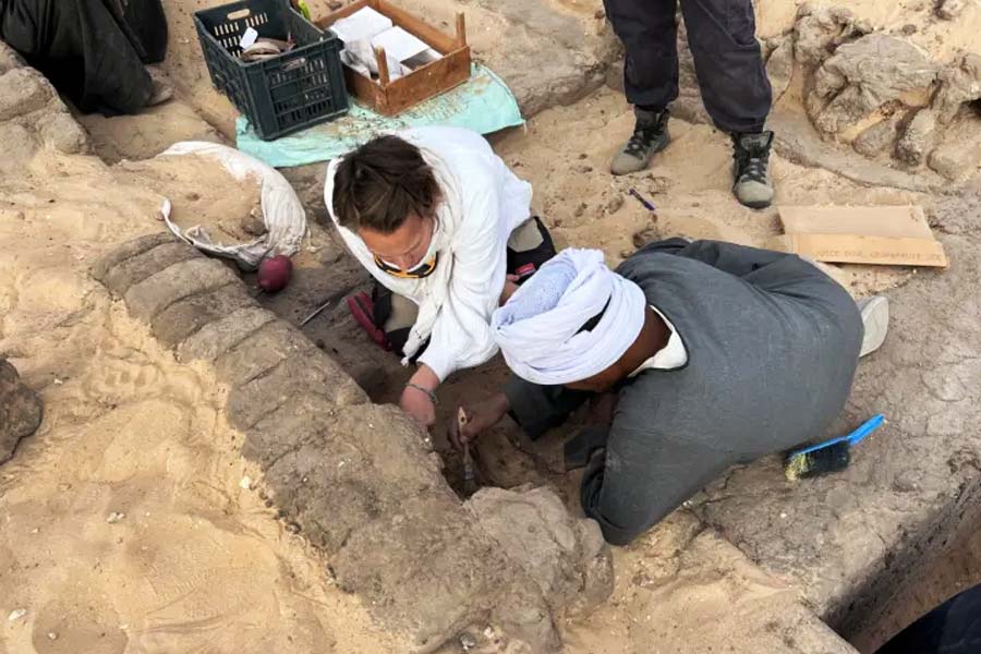 5000 years old wine jars found in Egyptian Queen’s Tomb while research