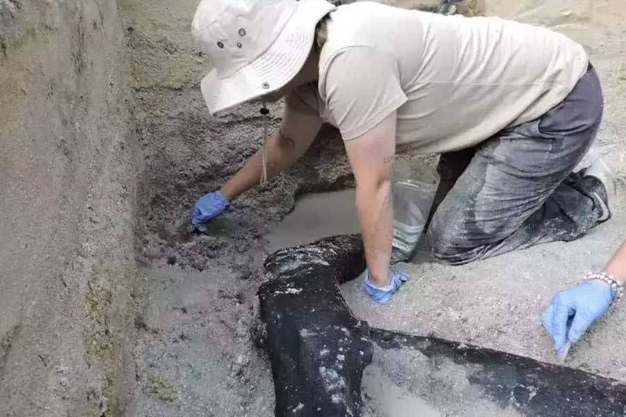 5000 years old wine jars found in Egyptian Queen’s Tomb while research