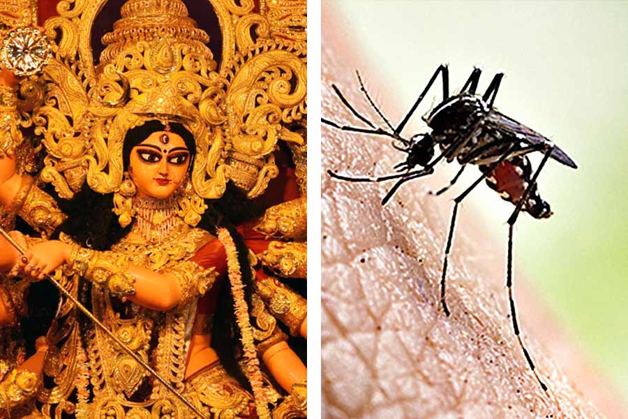 Health department launched four helpline numbers to deal with dengue situation during puja
