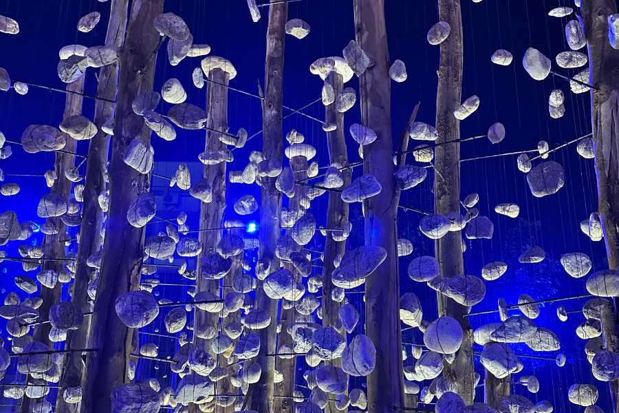  ৭৫তম বর্ষ দুর্গোৎসবের সামনে দাঁড়িয়ে থেকে এই রকমই চিন্তা ভাবনাকে বাস্তবায়িত করেছে এই পুজো মণ্ডপ। 