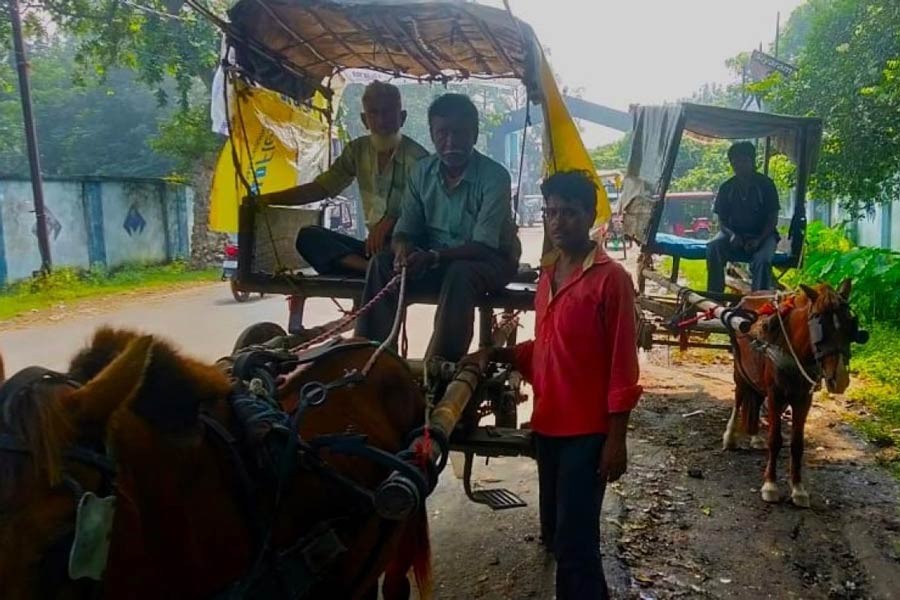 টাঙ্গা গাড়ি। কুলটিতে। ছবি: পাপন চৌধুরী।