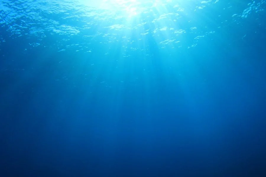 Oceans on the Earth are changing color from blue to green