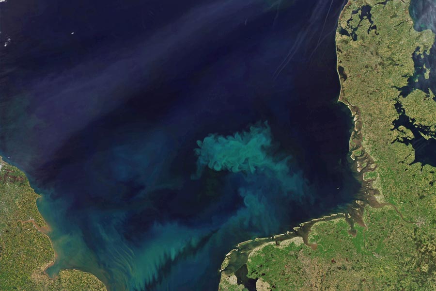 Oceans on the Earth are changing color from blue to green