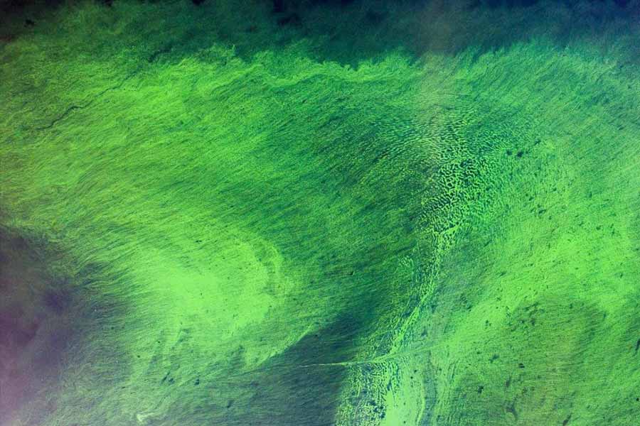 Oceans on the Earth are changing color from blue to green