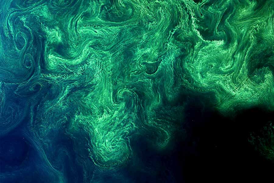 Oceans on the Earth are changing color from blue to green