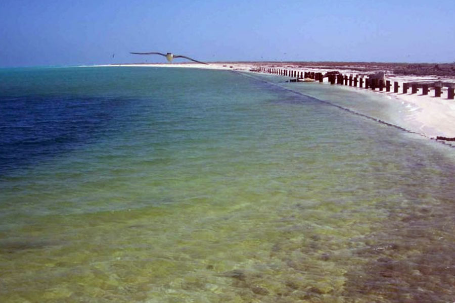 Oceans on the Earth are changing color from blue to green