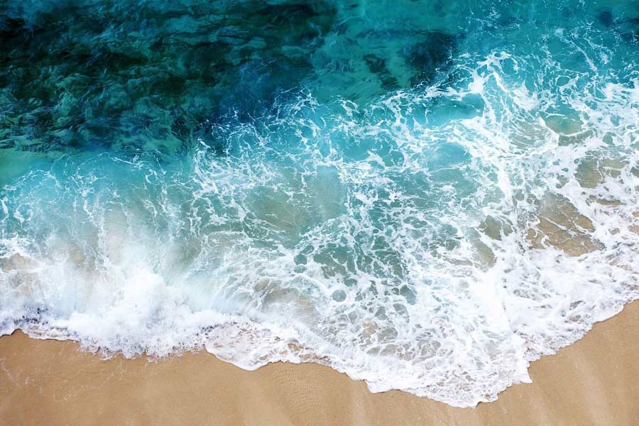 Oceans on the Earth are changing color from blue to green