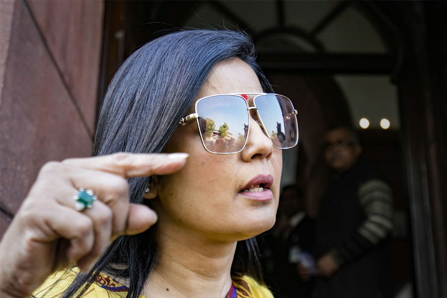 মহুয়ার বিরুদ্ধে অভিযোগ জানানোর সময় পোষ্য যে তাঁর, সেই প্রমাণ হিসাবে নথি জমা করেছেন আইনজীবী দেহদ্রাই। তিনি পোষ্যের রেজিস্ট্রেশন নম্বর উল্লেখ করে দাবি করেন, হেনরি যখন ৪০ দিনের, তখন থেকেই তার দেখাশোনা করেছেন তিনি। পোষ্যের কখন কী প্রয়োজন, সে সম্পর্কে শুধু তিনিই ভাল জানেন।