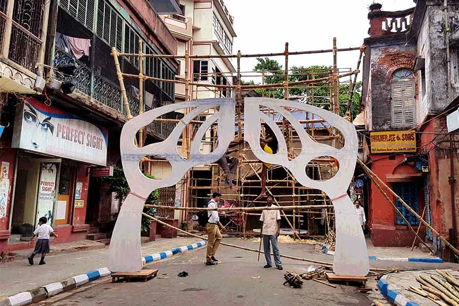 Some interesting characters of Kolkata Durga Puja