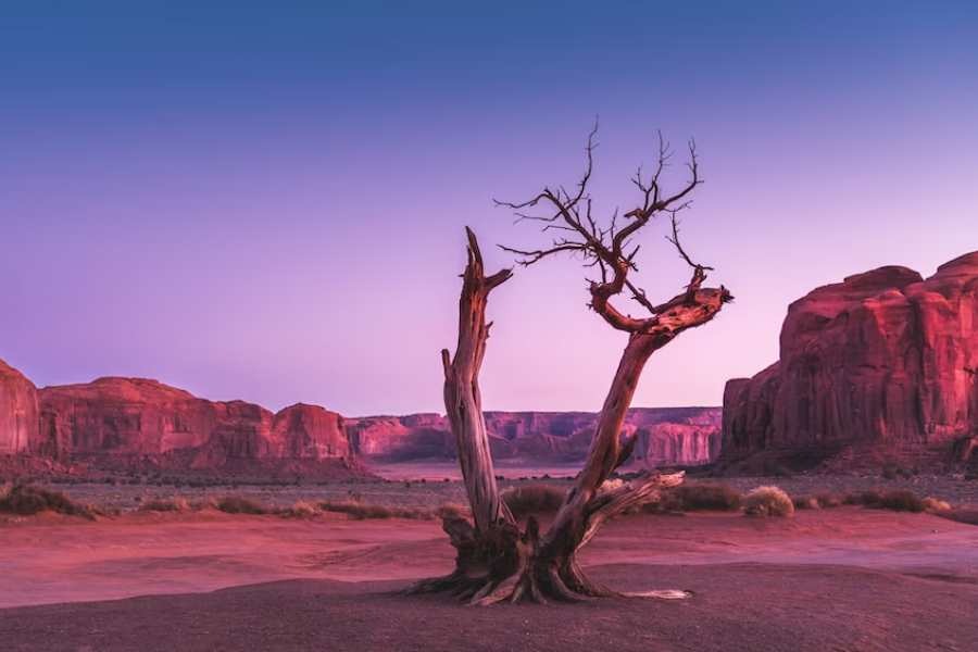 আমেরিকার ক্যালিফোর্নিয়ার মরুভূমিতে ওই বাথটাবটি দেখতে কম ভিড় হয় না। এমনকি, মানচিত্রে ওই জায়গাটার নামও রয়েছে— ‘মার্বেল বাথ’। 