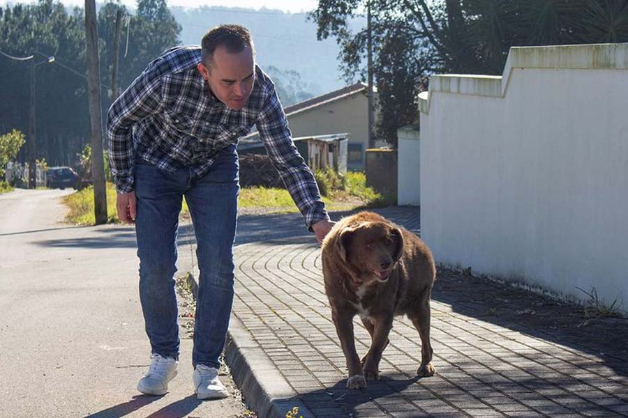 কোস্টা পরিবারের এক সদস্য লিওনেল কোস্টা তাঁর পরিবারে ববির আসার কথা জানান। স্থানীয় এক সংবাদ সংস্থাকে সাক্ষাৎকার দেওয়ার সময় লিওনেল জানান, তাঁর যখন আট বছর বয়স ছিল, তখন তিনি ববিকে খুঁজে পেয়েছিলেন।