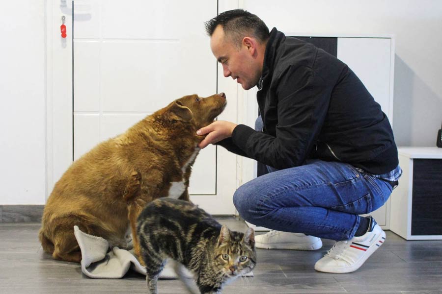 কোস্টা পরিবারের তরফে জানানো হয়, মৃত্যুর বেশ কয়েক দিন আগে থেকেই হাঁটাচলা করতে অসুবিধা হত ববির। ধীরে ধীরে দৃষ্টিশক্তিও কমে যেতে থাকে।