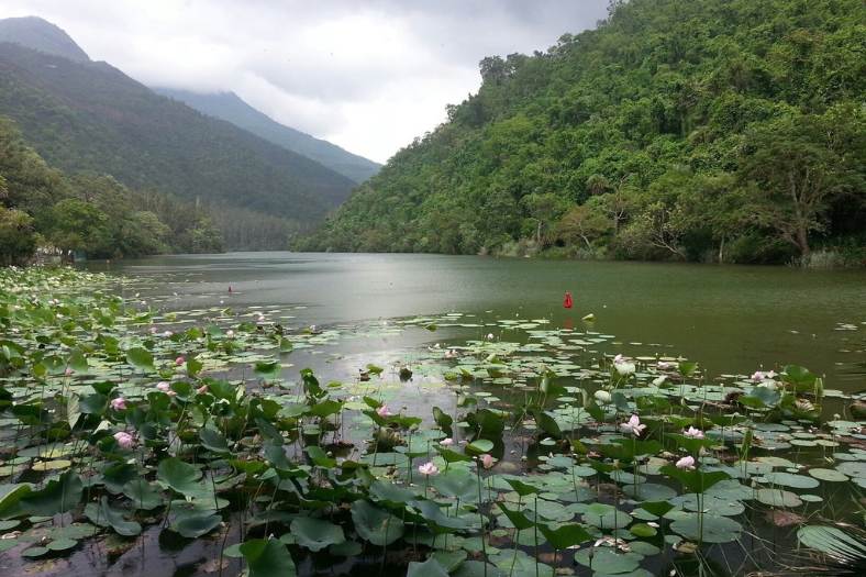 ১. নাহান: হিমাচলের ছোট্ট শৈলশহর। চণ্ডীগড় থেকে বেশি দূর নয়। গাড়িতে ঘন্টা তিনেকের দূরত্ব। এক কালে সিরমুর এস্টেটের সদর ছিল। ট্রেকিং, হাইকিং যাঁদের প্রিয়, তাঁদের জন্য দুর্দান্ত পছন্দের জায়গা। নির্জন, নিরিবিলি, সামনেই পাহাড়-চুড়ো, পাহাড়ের কোলে ঝরণা, মন্দির- সব মিলিয়ে যাকে বলে 'পিকচার পোস্টকার্ড' দৃশ্য! পাহাড়ি শহরের সর্পিল জঙ্গুলে পথ পেরিয়ে ঘুরে আসতে পারেন বাধোলিয়া মন্দির। নীচে নামার সময় পাবেন জালাল নদী। 
