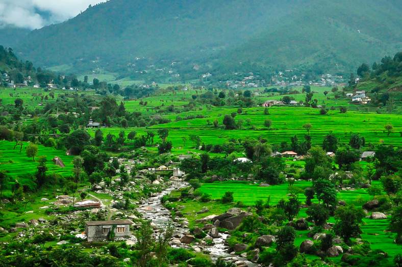 ৪. কাসোর্গ ভ্যালি: সারি সারি আপেল বাগান, পাইন-দেবদারু গাছের জঙ্গল, শীতল আবহাওয়া, দূষণমুক্ত বাতাসে বুক ভরে নিঃশ্বাস নেওয়ার সুখ এখানকার বৈশিষ্ট্য। এই উপত্যকার মতো এত বিস্তৃত আপেলের বাগান এ দেশের আর কোথাও নেই।