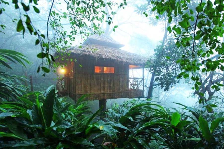 এছাড়াও চরপা জলপ্রপাত, ভড়কুম্মনাথন মন্দির দেখতে ভুলবেন না যেন। এখানে থাকার সেরা জায়গা ট্রি হাউস রিসর্ট। রিসর্টের সুইমিং পুলে সাঁতার কাটতে কাটতেও সেখান থেকে দেখতে পাবেন অতুলনীয় অথিরাপল্লী জলপ্রপাত! 