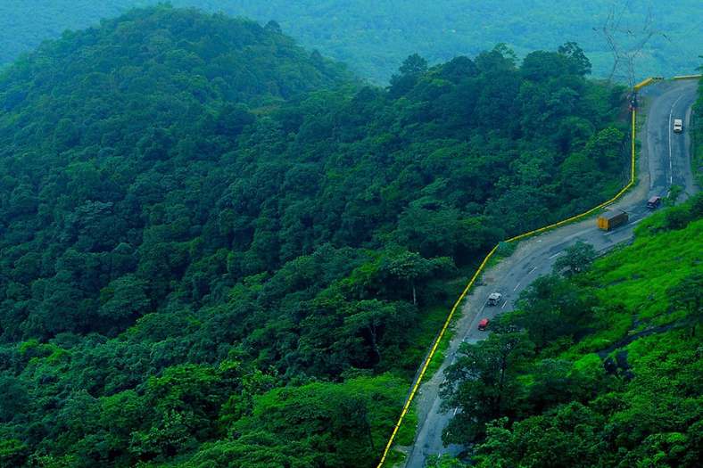 ওয়েনাড: আপনার হয়তো সিমলা, কুলু, মানালি, মুসৌরি বেড়িয়েও নিরিবিলিতে পাহাড়ের সৌন্দর্য দেখার আরও ইচ্ছে হয়েছে। সেক্ষেত্রে কেরলের ওয়েনাড স্বচ্ছন্দে ঘুরে আসতেই পারেন। অরণ্য, পাহাড়, জলধারায় মোড়া এক অপরূপ নিরিবিলি দ্রষ্টব্যস্থান। চার দিকে সবুজ, সবুজ আর সবুজ, সঙ্গে পাল্লা দিয়ে অপার নিরিবিলি। পাখিদের কলরব ছাড়া খুব বেশি আওয়াজ কানে আসবে না এখানে। 