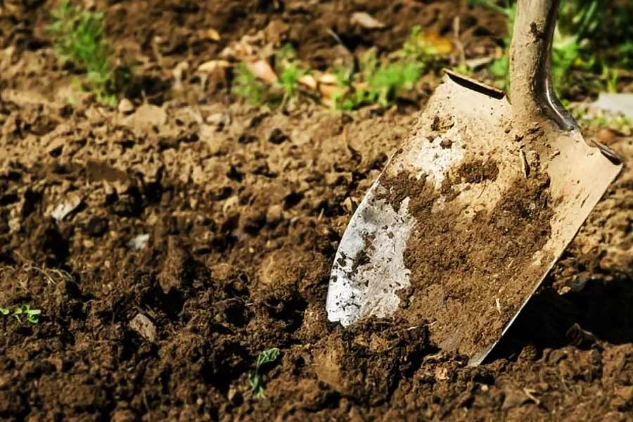 Amarjeet Sada, youngest serial killer from Bihar who Murdered three person at age of 8