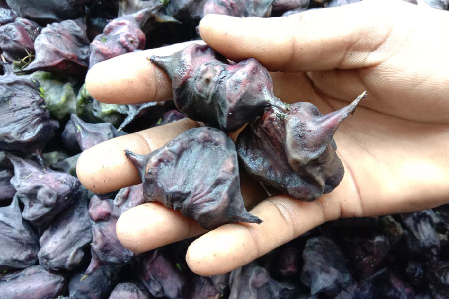 Five health benefits of water chestnuts.