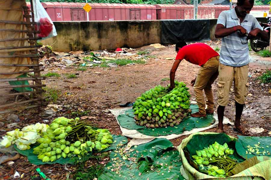 আমোদপুরে স্টেশনে পদ্ম।