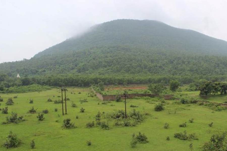 বাঁকুড়ার সবচেয়ে উঁচু পাহাড় বিহারীনাথ। ১৪৫০ ফুট। পূর্বঘাট পর্বতমালার অংশ। পুরাতাত্ত্বিক মহলে বিহারীনাথ ধামের গুরুত্ব খুব বেশি। পাহাড়ের নীচেই বিখ্যাত বিহারীনাথ মন্দির। কথিত আছে,  এই মন্দিরের শিবলিঙ্গ তৎকালীন রাজা স্বপ্নাদেশে পেয়েছিলেন। শিবের আরেক নাম বিহারীনাথ। 