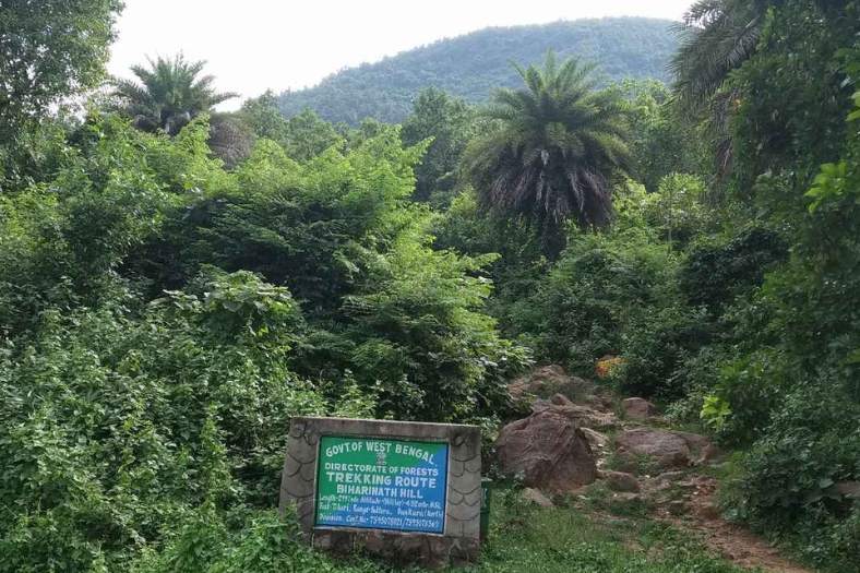 প্রকৃতিও এখানে উপুড় করে দিয়েছে অপার সৌন্দর্যকে। ঋতু পরিবর্তনের সঙ্গে সঙ্গে বিহারীনাথ পাহাড়ের রং পাল্টায়। ফেব্রুয়ারি-মার্চ মাসে লালে লাল। সে সময় পাহাড়ের গায়ে থরে থরে লাল পলাশ ফুলের শোভা দেখবার মতো। বর্ষায় আবার বিহারীনাথ পাহাড় সবুজে সবুজ। বিভিন্ন প্রজাতির গাছ তখন আরও সতেজ সবুজ, আরও ঘন। এখানকার পাহাড় পথে চলার মাঝে দেখা পেতে পারেন শেয়াল,  খরগোশ, গিরগিটি থেকে শুরু করে বুনো শুয়োর, বনরুই এমনকি হায়নাও! 