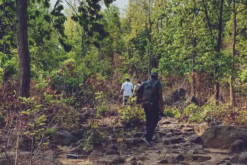 তবে পাহাড়ের পথ সুগম নয়। পদে পদে বিপদ ঘটে যেতে পারে। যে জন্য সাধারণ মানুষ বেশি উচ্চতায় ওঠা উচিত নয়। আর পাহাড় পথে হাঁটলেও সকাল-সকাল হাঁটুন। সূর্যাস্তের পর মোটেও যাবেন না। 