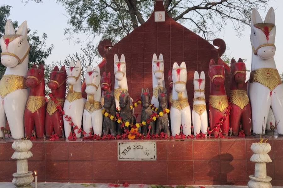 দামোদর নদীর অনাবিল সুন্দর প্রকৃতির তীরে নিস্তব্ধ পশ্চিম বর্ধমানের একদম সীমান্ত এলাকায় দেবীর থান। ওপারেই বাঁকুড়া, আরও দক্ষিণে বিহারীনাথ পাহাড়। ভূতাবুড়ির কোনও মূর্তি নেই। কয়েকটি পাথরের ঘোটক দেবীর প্রতিভূ। পাশেই বাঘরায়ের থান। স্থানীয় মানুষজনের কাছে যা ভূতাবুড়ির ভৈরব হিসেবে পরিচিত।