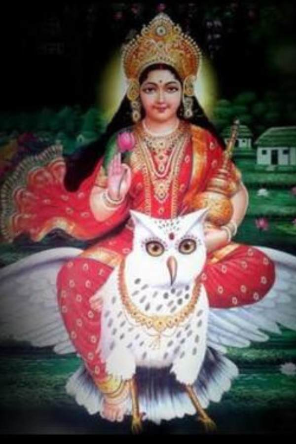 কোজাগরী শব্দের অর্থ ‘কে জাগে’। কথিত, রাত জেগে মা লক্ষীর আরাধনা করলে নাকি সেই ঘরে মা অধিষ্ঠান হন। মায়ের বাহন পেঁচাও মায়ের সঙ্গী হয়েছিল এই কারণেই। 