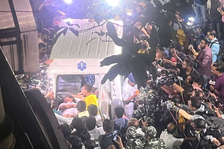 নিজস্ব চিত্র। 