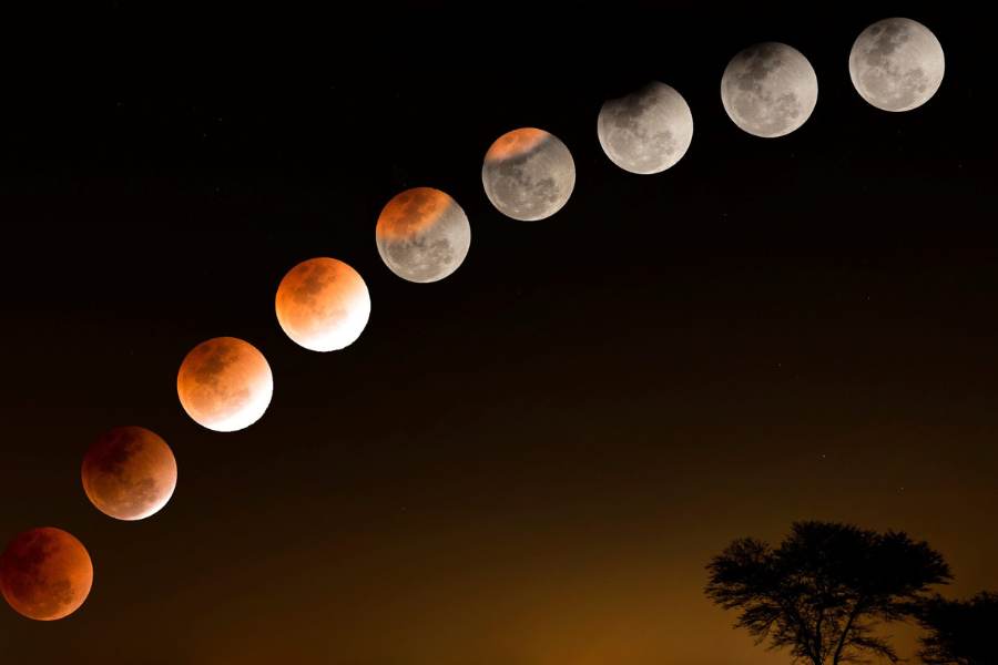 রাজ্যের সমস্ত জেলা থেকেই দেখা যাবে বছরের শেষ চন্দ্রগ্রহণ। একই সময়ে খালি চোখে দেখতে পাবেন এই গ্রহণ। 