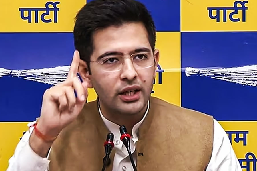 বিভিন্ন সংবাদমাধ্যমে আপের হয়ে বক্তৃতা করতে দেখা যায় রাঘবকে। তিনি দলের মুখপাত্র। সক্রিয় রাজনৈতিক কর্মী হওয়ার পাশাপাশি চার্টার্ড অ্যাকাউন্ট্যান্ট। স্কুল পাশ করার পর দিল্লি বিশ্ববিদ্যালয়ে ভর্তি হন তিনি। ইনস্টিটিউট অফ চার্টার্ড অ্যাকাউন্ট্যান্টস অফ ইন্ডিয়া থেকে পড়াশোনা করে চার্টার্ড অ্যাকাউন্ট্যান্ট হন তিনি।