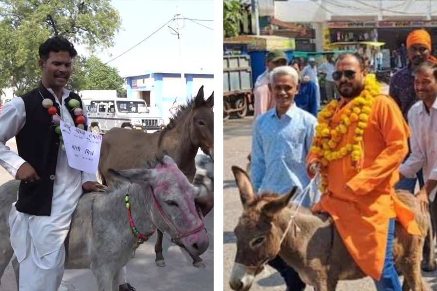 Man arrives on donkey to file nomination in Madhya Pradesh polls