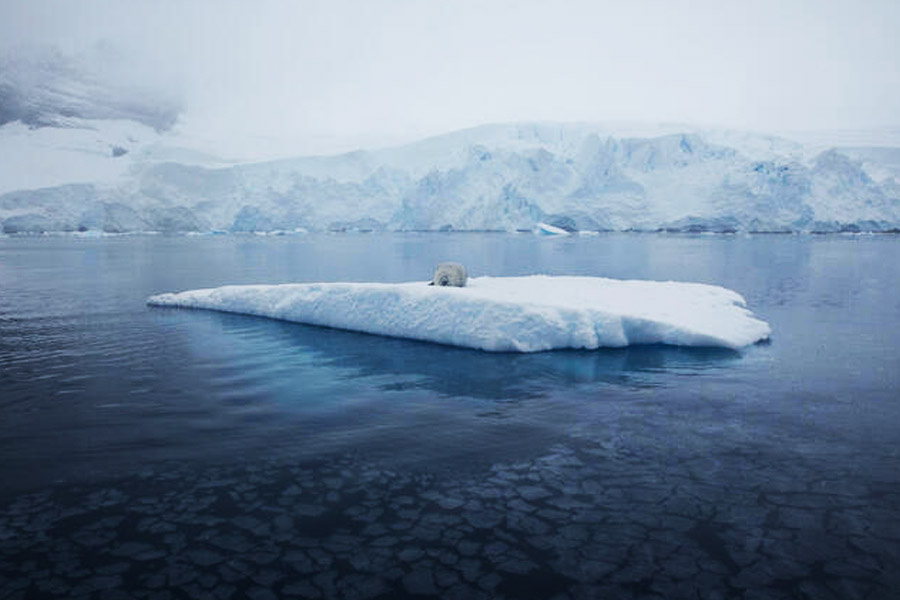 image of antarctica
