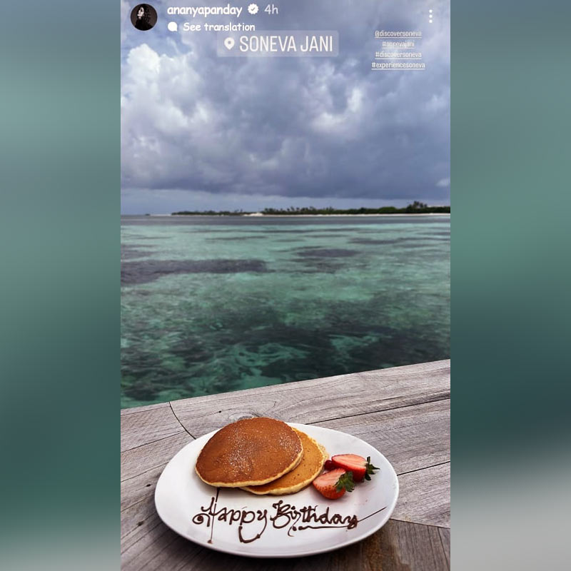 অনন্যা পাণ্ডের ইনস্টাগ্রাম স্টোরি।