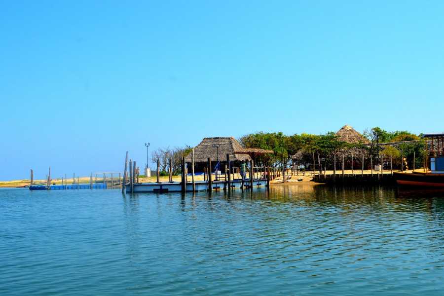 কী ভাবে যাবেন: হাওড়া থেকে পুদুচেরি ট্রেন রয়েছে। কাছের বিমানবন্দর পুদুচেরি। সড়কপথে চেন্নাই থেকে পুদুচেরির দূরত্ব প্রায় তিন ঘণ্টার মতো।