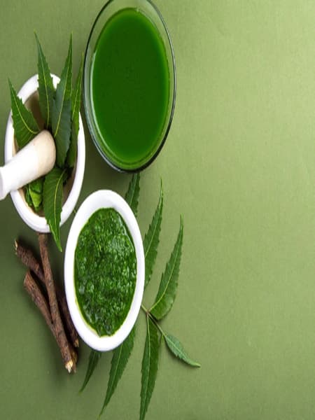 10 leaves is very beneficial to control uric acid level dgtl