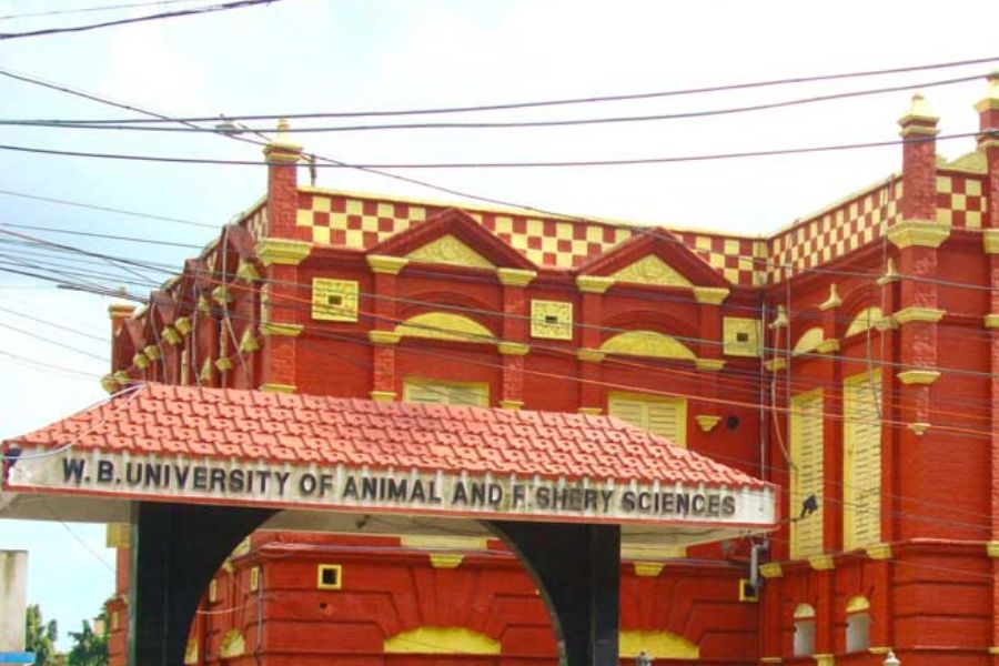West Bengal University of Animal & Fishery Sciences.