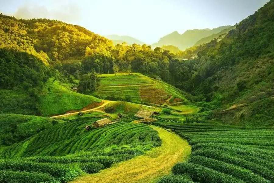 কোনটা ছেড়ে কোন জায়গার কথা বলবেন,  সেই সমস্যায় পড়তে হবে। তবুও তার মধ্যেও মন্দির,  ঐতিহাসিক স্থান,  চা-বাগান,  পাহাড়,  অরণ্য,  রাষ্ট্রীয় উদ্যান— অসমের সব কিছু ছুঁয়ে যেতে চেষ্টা করছে এই প্রতিবেদন। 