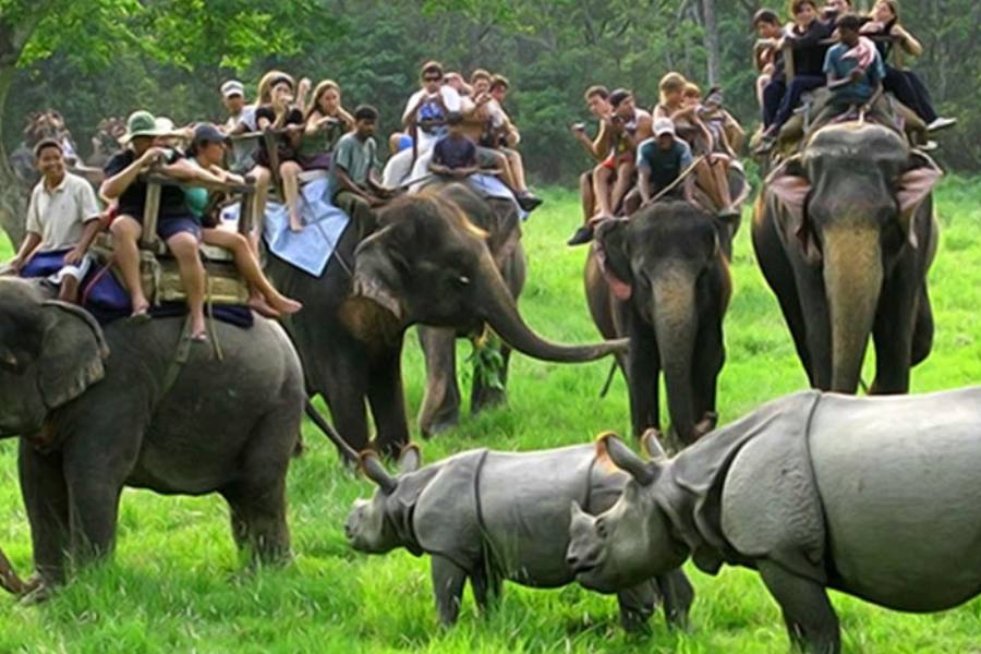 ১. কাজিরাঙ্গা রাষ্ট্রীয় উদ্যান: প্রথমেই গুয়াহাটি যান। গুয়াহাটি থেকে বাস নিয়ে বা গাড়িতে কাজিরাঙা। যেখানকার সংরক্ষিত জঙ্গলে এক শৃঙ্গি গণ্ডার জগদ্বিখ্যাত। এটা বিরলতম প্রজাতির গণ্ডার। কাজিরাঙার জঙ্গলে ঘুরতে হবে হাতির পিঠে চেপে অথবা জিপে চড়ে। এখানে পশু-পাখি কিছুই খাঁচায় বন্দি থাকে না। এ ছাড়াও নভেম্বর থেকে এপ্রিলের মধ্যে এখানে বেড়াতে যেতে হবে। বছরের বাদ বাকি সময় বন্ধ থাকে কাজিরাঙা।