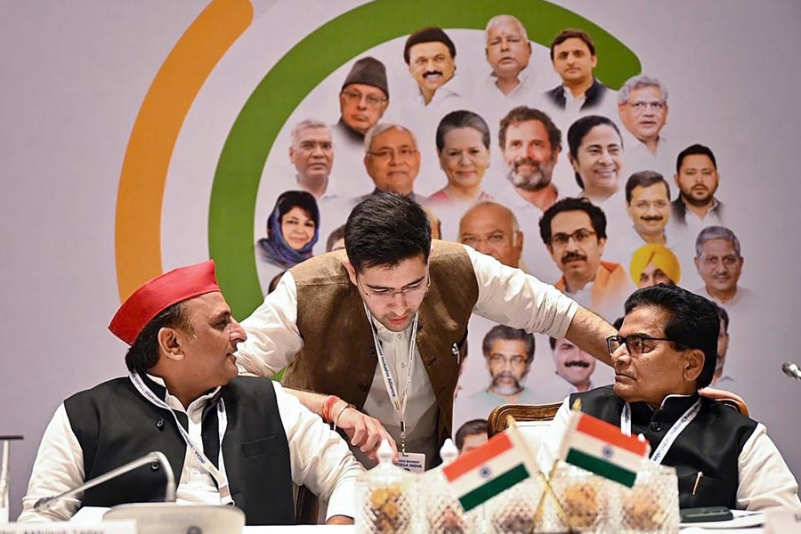 সংবাদ সংস্থা পিটিআই জানাচ্ছে, সেই ১৩ জনের সমন্বয় কমিটির সদস্যরা হলেন শরদ পওয়ার (এনসিপি), কেসি বেণুগোপাল (কংগ্রেস), এমকে স্ট্যালিন (ডিএমকে), অভিষেক বন্দ্যোপাধ্যায় (তৃণমূল), তেজস্বী যাদব (আরজেডি), হেমন্ত সোরেন (জেএমএম), মেহবুবা মুফতি (পিডিপি), ওমর আবদুল্লা (ন্যাশনাল কনফারেন্স), সঞ্জয় রাউত (শিবসেনা-উদ্ধব), লালন সিংহ (জেডিইউ), জাভেদ আলি খান (সমাজবাদী পার্টি), ডি রাজা (সিপিআই) এবং রাঘব চড্ডা (আপ)।