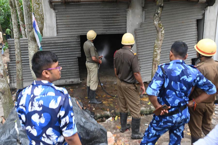 An image of Firecracker Shop