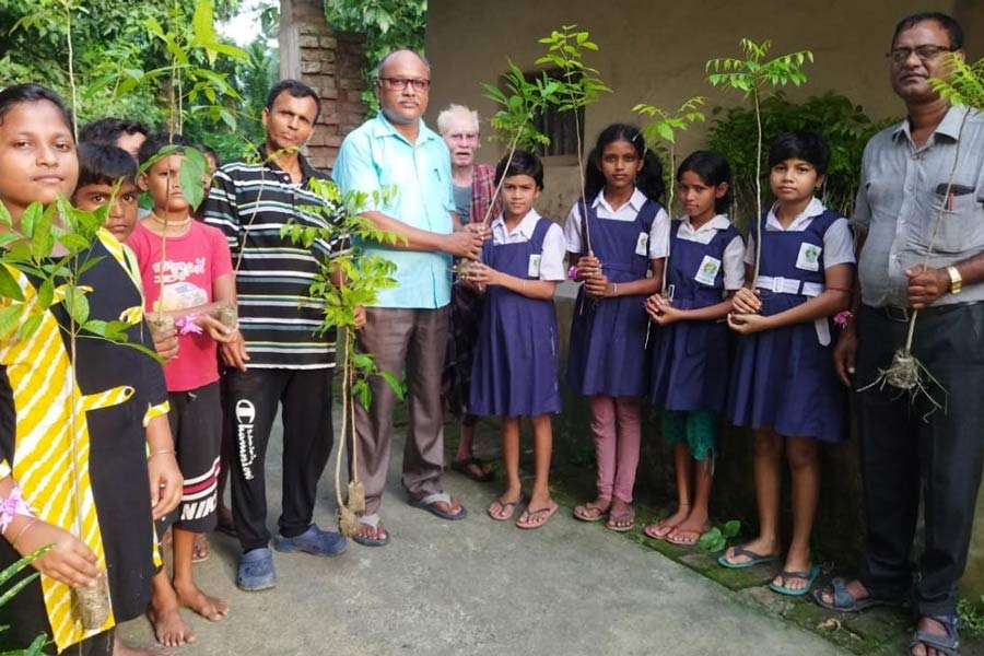 গাছের চারা বিলি রায়দিঘিতে।