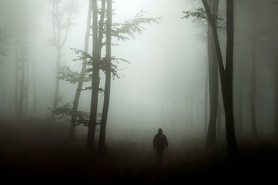 Here’s why Hoia Baciu Forest is known as Romanian Bermuda Triangle 