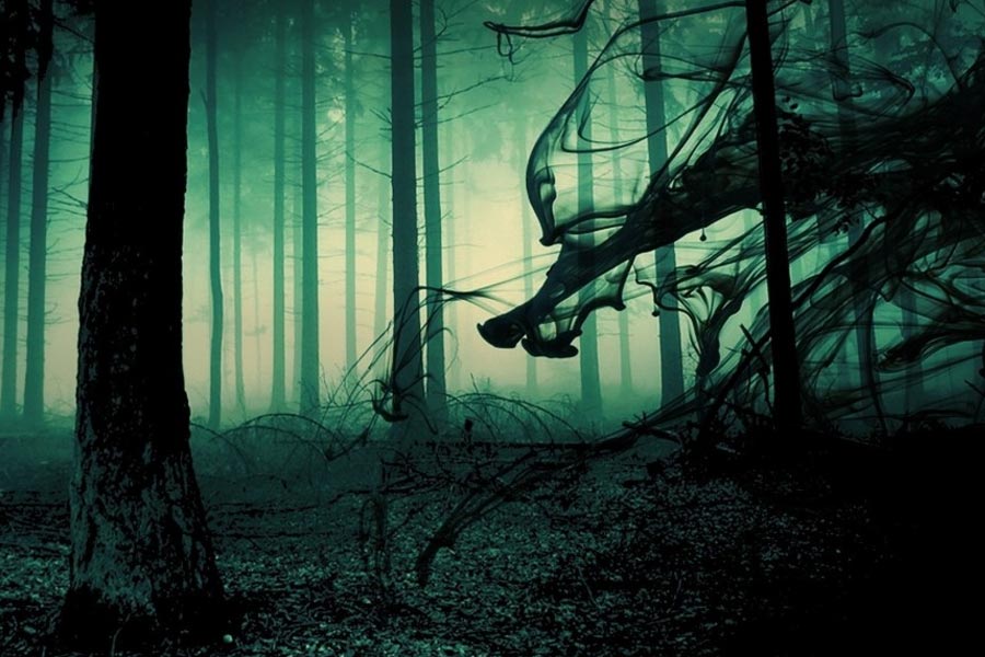 Here’s why Hoia Baciu Forest is known as Romanian Bermuda Triangle 