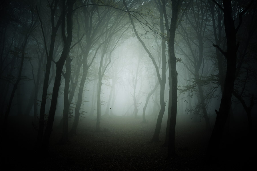 Here’s why Hoia Baciu Forest is known as Romanian Bermuda Triangle 