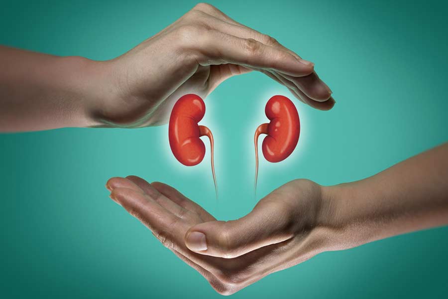 Avoid these five habits that may cause harm to your kidney