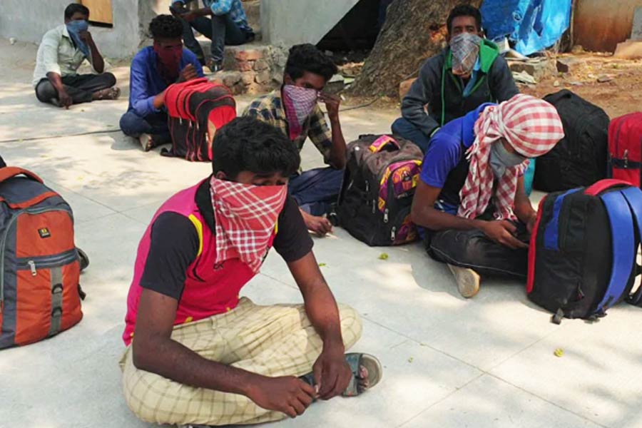 All you need to know about Multi-Crore Khichdi Scam in Mumbai